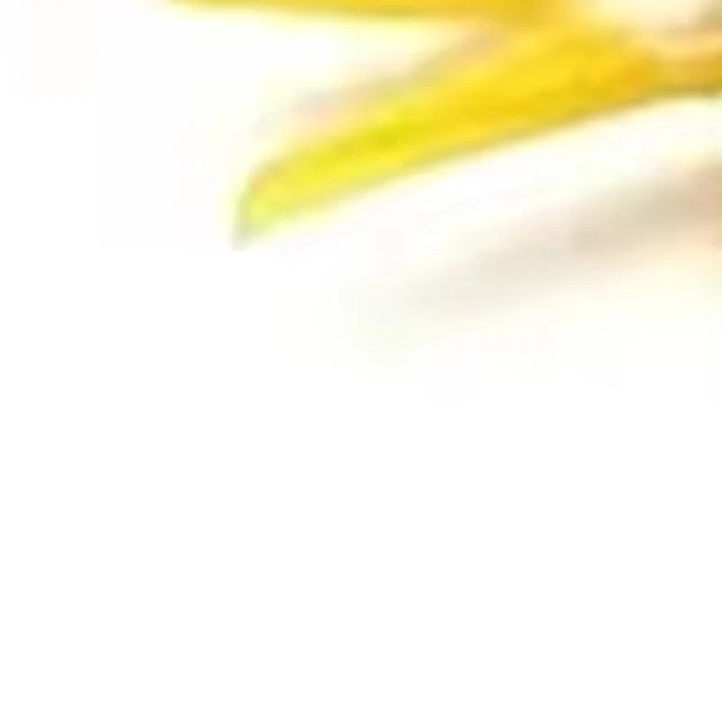 

Стоматологические межзубные клинья, уплотнительные композитные клинья, силиконовые, подходящие адаптивные стоматологические материалы для реставрации зубов