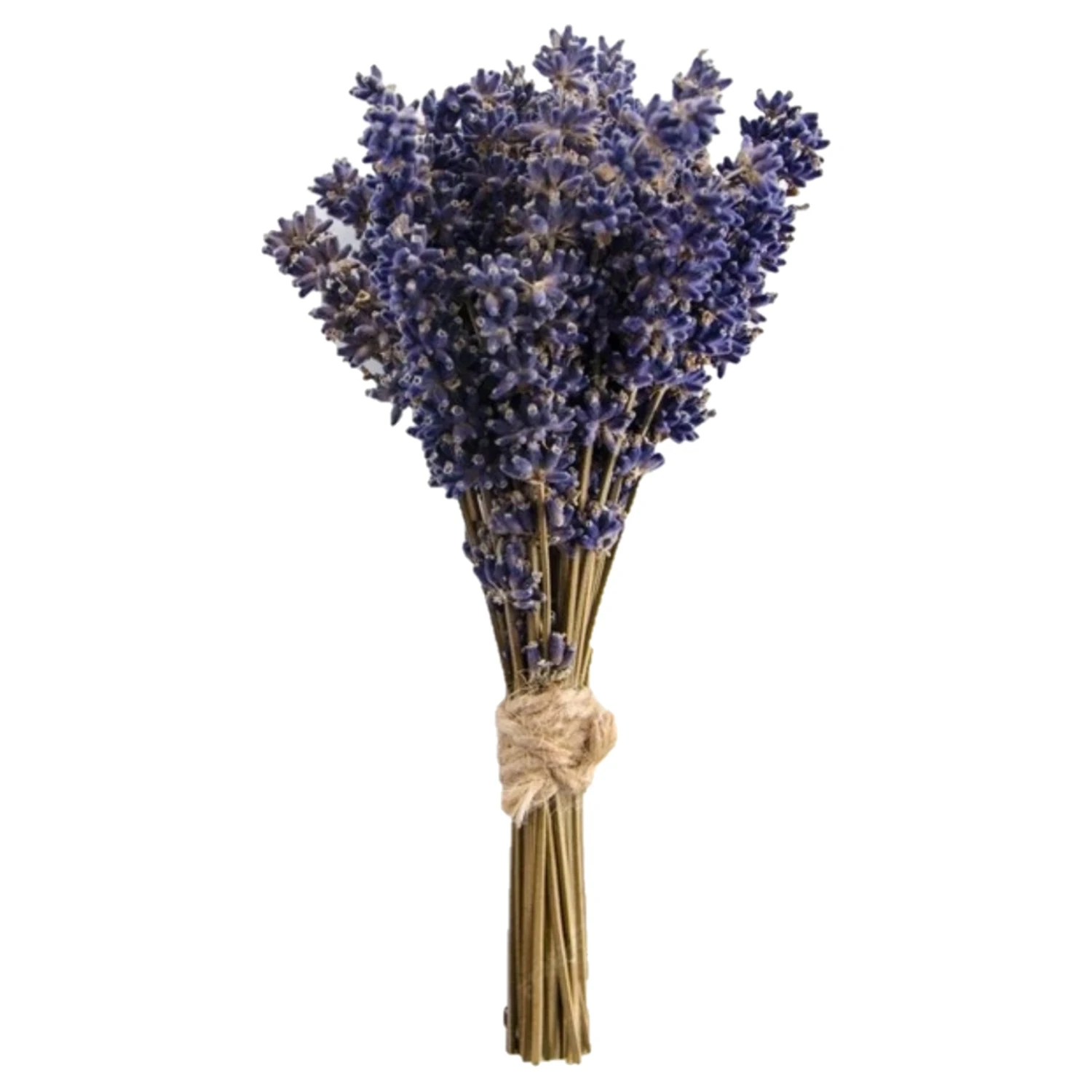 Bouquet of dried lavender Mariem flowers harvested in Spain in the fields of lavender Brihuega ideal for home decoration wedding communions