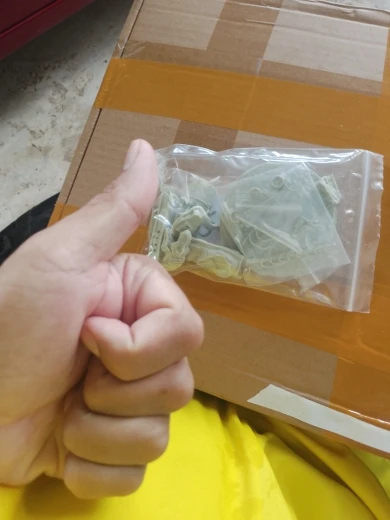 Buyer photo of this resin kit