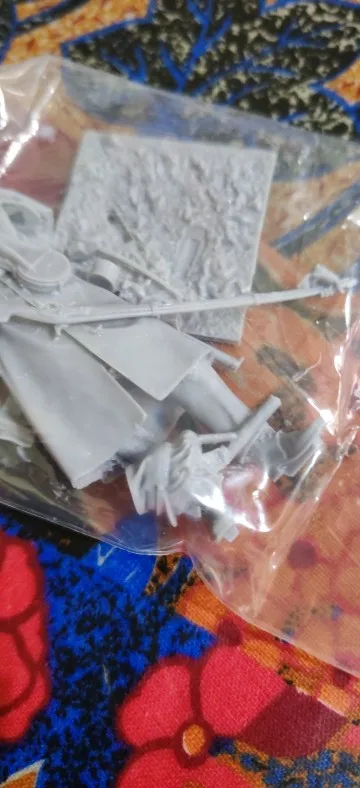 Buyer photo of this resin kit