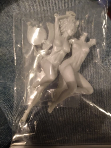 Buyer photo of this resin kit