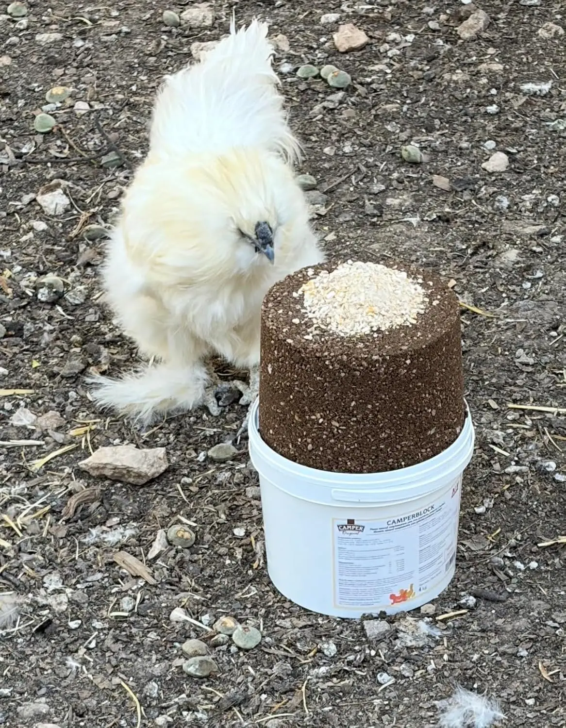 Bloc correcteur d'alimentation Camperblock pour poulets élevés en plein air, 4 kg. Enrichi en macro- et micro-minéraux, il fournit du calcium organique, des vitamines et des céréales. Augmente la production et la qualité des œufs et la persistance de la ponte.