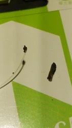 Imagen de reseña 4