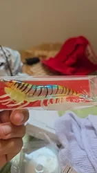 Imagen de reseña 1