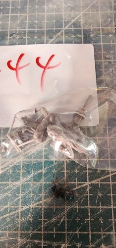 Buyer photo of this resin kit