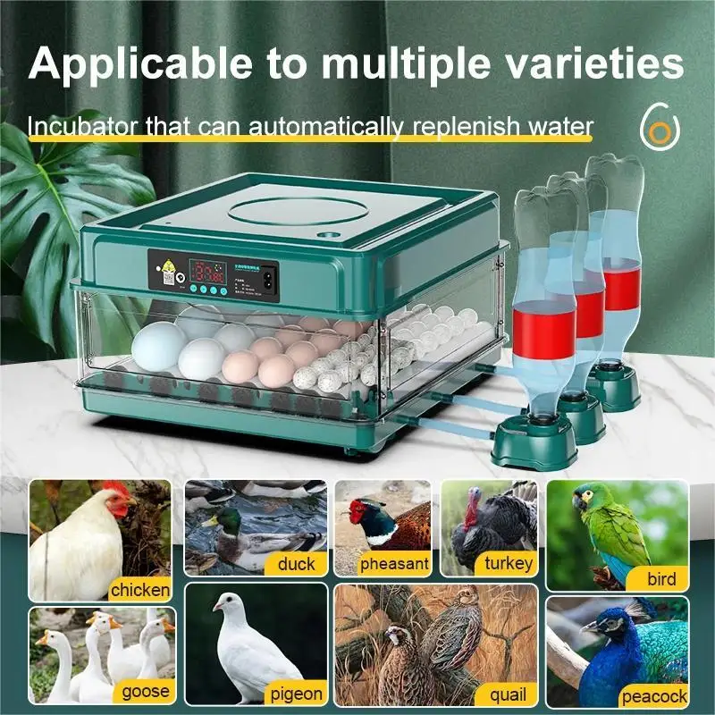 9/15 Eggs Incubator With Drawer Type Mini Egg Incubator With Automatic Water Ionic Waterbed Replenishment And Temperature Contr