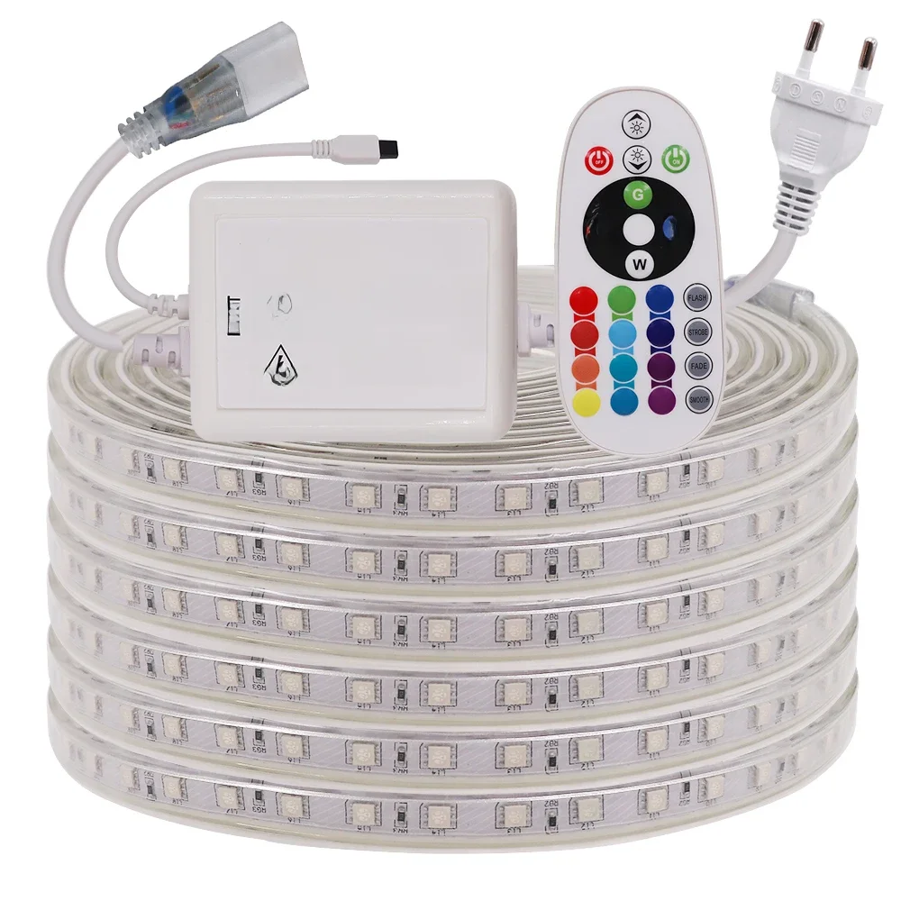 220V 5050 RGB LED bande haute luminosité Flexible lumière LED bande étanche IP67 LED bande extérieure décor à la maison lumière avec télécommande