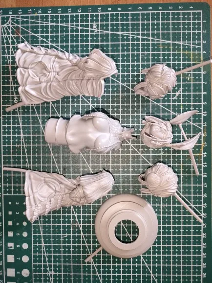 Buyer photo of this resin kit