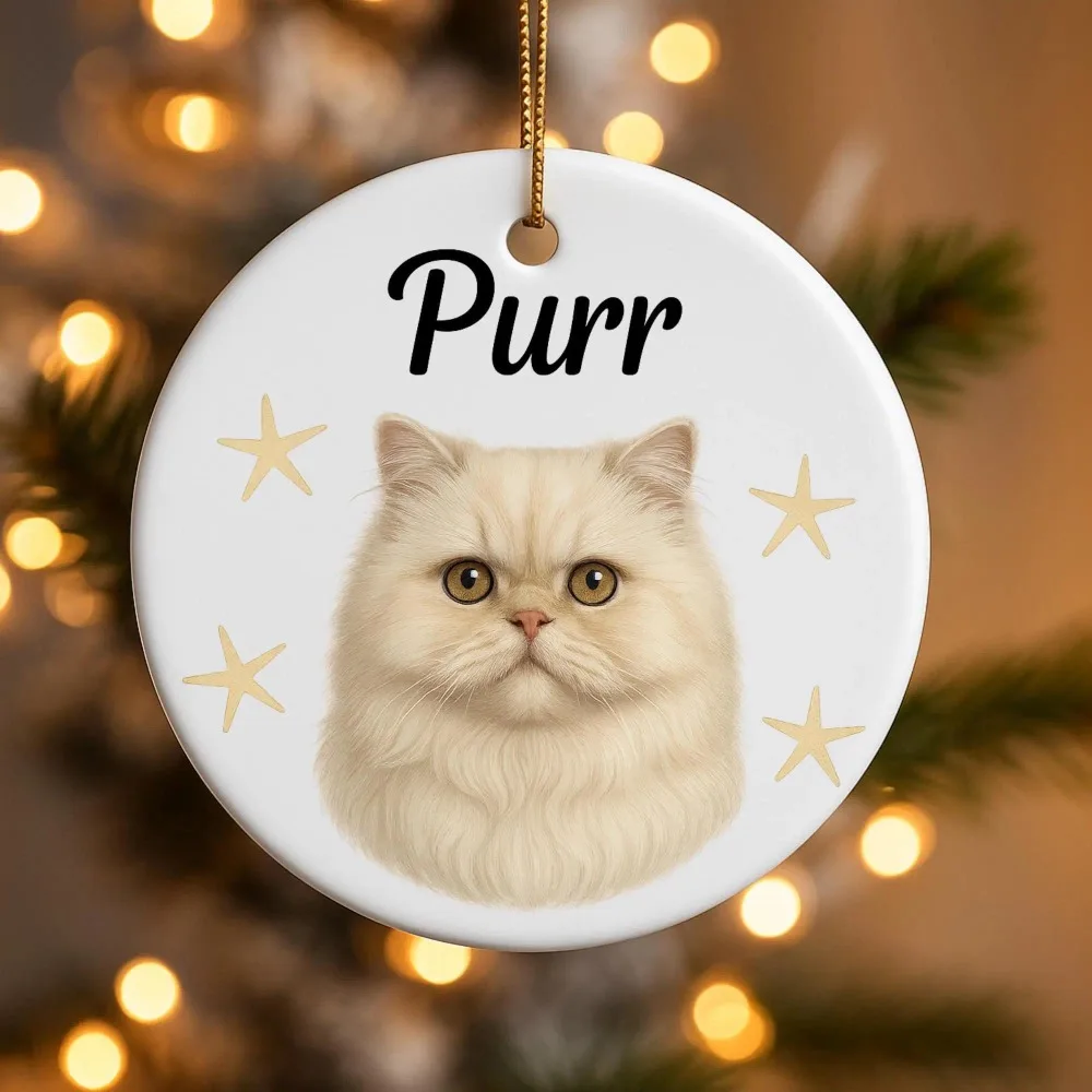Pet Cat Custom Name Ceramic Christmas Ornament Round White Hanging Pendant Persian Cat Art Design Holiday Souvenir for Pet Owner