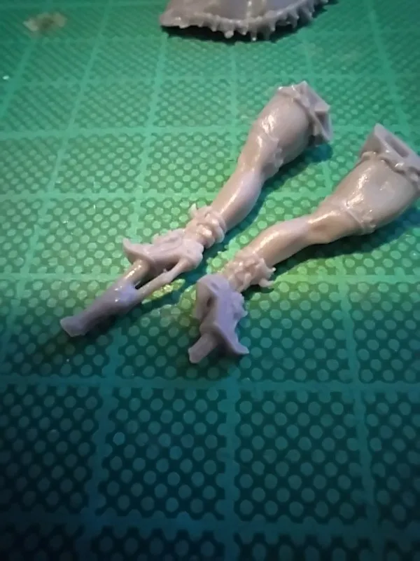 Buyer photo of this resin kit