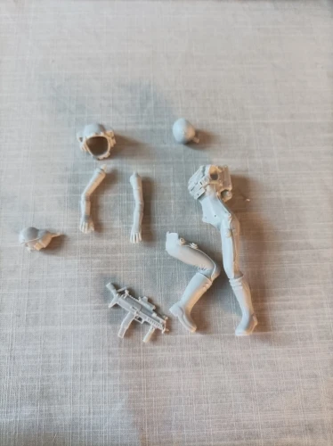 Buyer photo of this resin kit