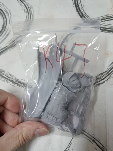 Buyer photo of this resin kit