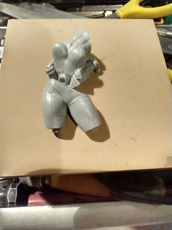 Buyer photo of this resin kit