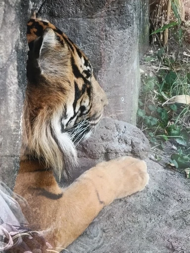 리뷰 사진
