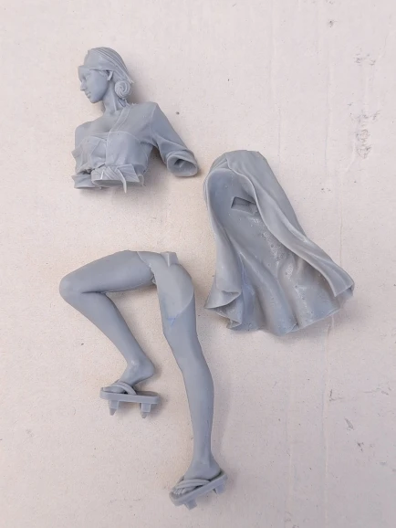 Buyer photo of this resin kit