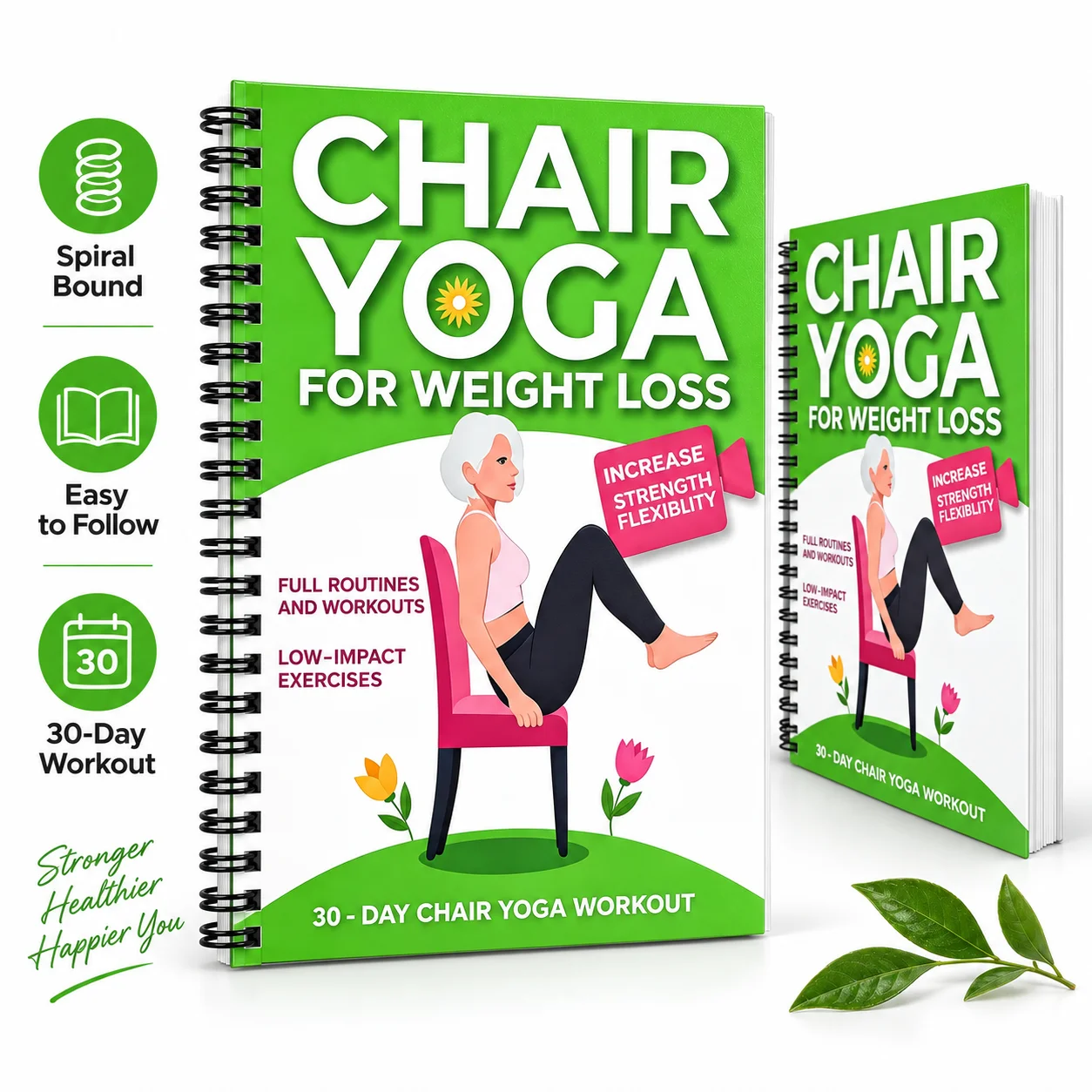 Chair Yoga Fitness Guide 2