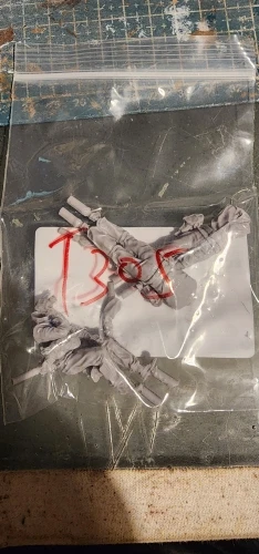 Buyer photo of this resin kit