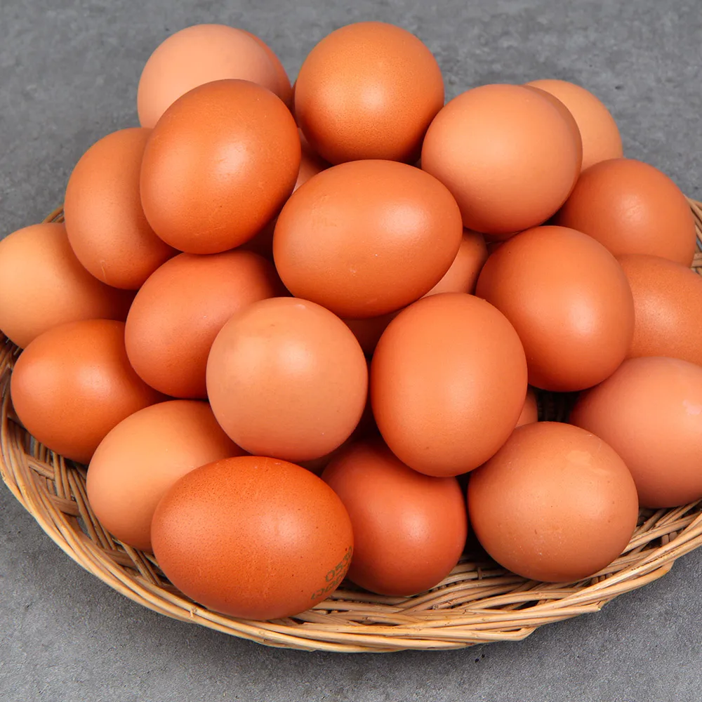 [Perfect damage guarantee] 60 anti-antibiotic live eggs HACCP certified young chickens are more fresh