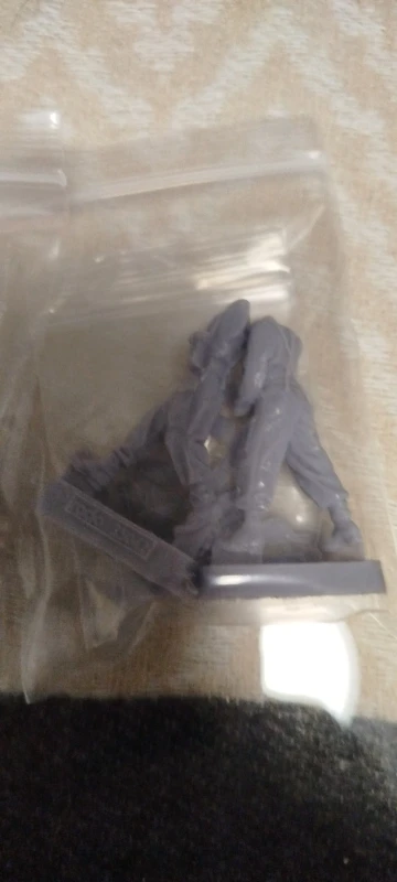Buyer photo of this resin kit