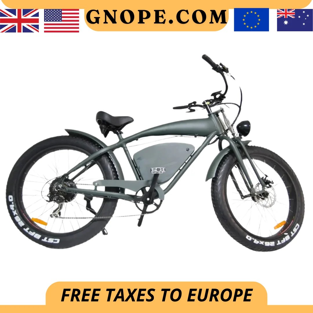 1000W 26 Inch Electric Bicycle 48V 20AH Electric Bike Fat Tire Mountain Ebike Electric Mountain Bike