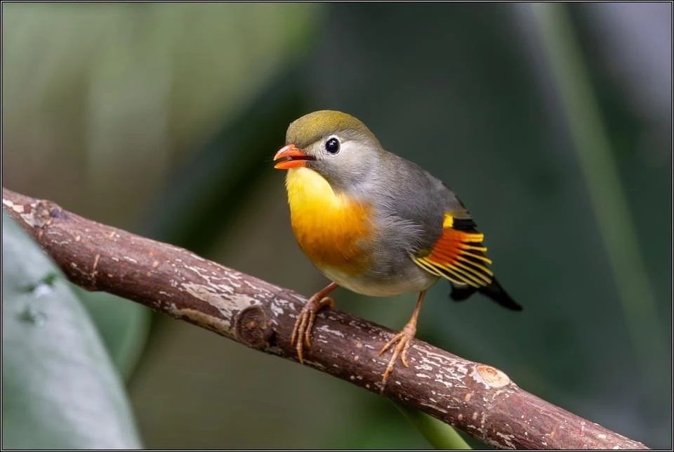 

400ml/550ml/900ml Pineapple Mug Moscow Mule Copper Mugs Metal Mug Cup Stainless Steel Beer Wine Coffee Cup