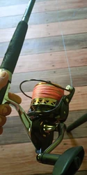 Imagen de reseña 1