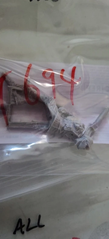 Buyer photo of this resin kit