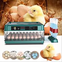 9/15/24/36 Eggs Incubator With Drawer Type EggIncubator With Automatic Water Ionic Waterbed Replenishment And Temperature Contro