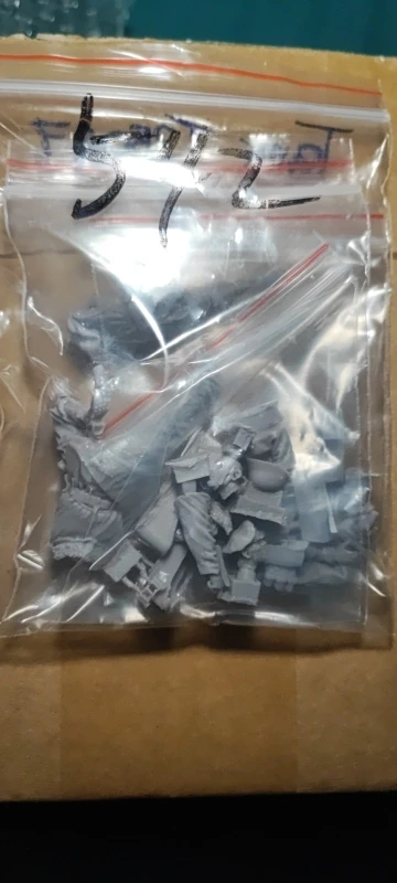 Buyer photo of this resin kit