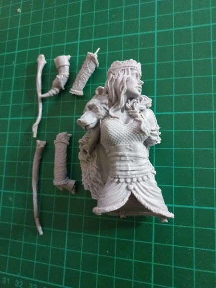 Buyer photo of this resin kit