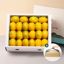 고당도 하우스감귤 프리미엄 선물세트 3kg 5kg + 가방포장
