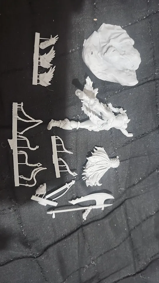 Buyer photo of this resin kit