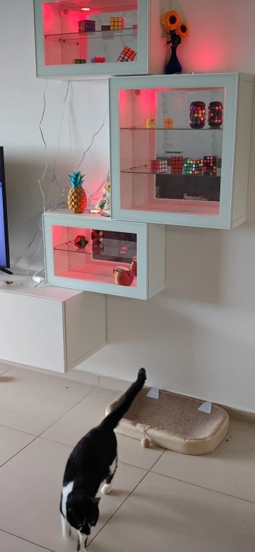 리뷰 사진
