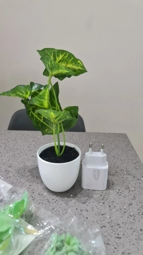 20cm/7.87inch Small Artificial Potted Plant, 1Pc Fake Desktop Plants, Leaf Plants, No Watering, For Home, Office Table Decor photo review