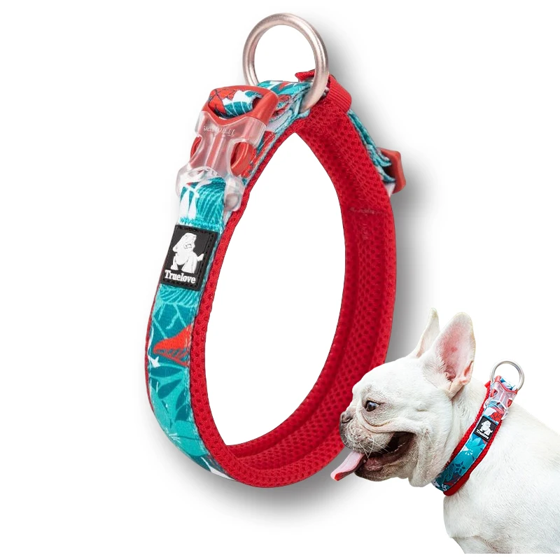 Winhyepet Dog Collar Traveling Walking Comfort Padded with Buckle Tactical Collar for Small Medium Large Dogs Pitbull TLC5273