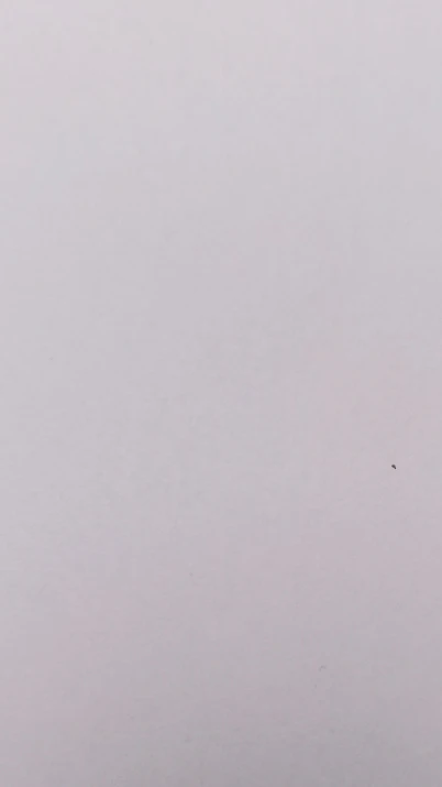 실물 포토 리뷰