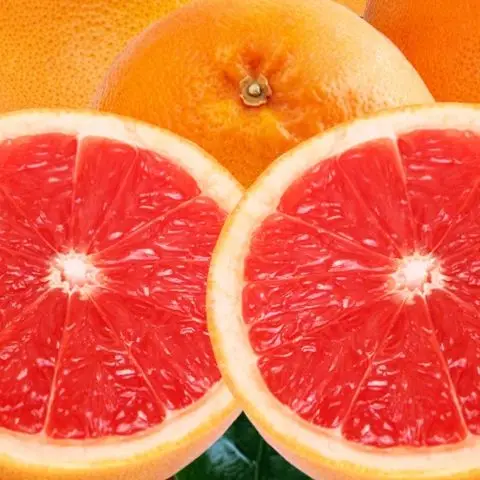 Grapefruit red grapefruit top size