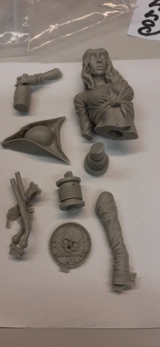 Buyer photo of this resin kit
