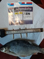 Imagen de reseña 2