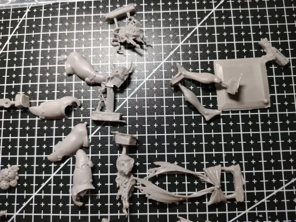 Buyer photo of this resin kit