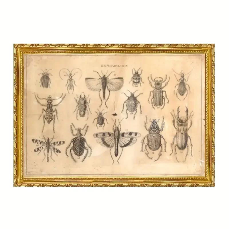 Vintage Victorian Entomology Canvas Art Frameless Decorative Paintings Suitable For Home Bedrooms Elegant Wall Decor For Living