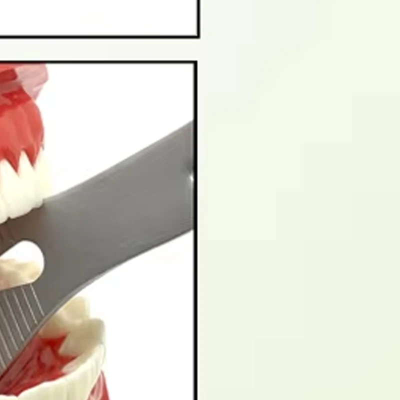 

2pcs Dental Lingual Retractor Stainless Steel Mouth Opener Oral Retractor Wider Lip Cheek Retractors Dental Tools