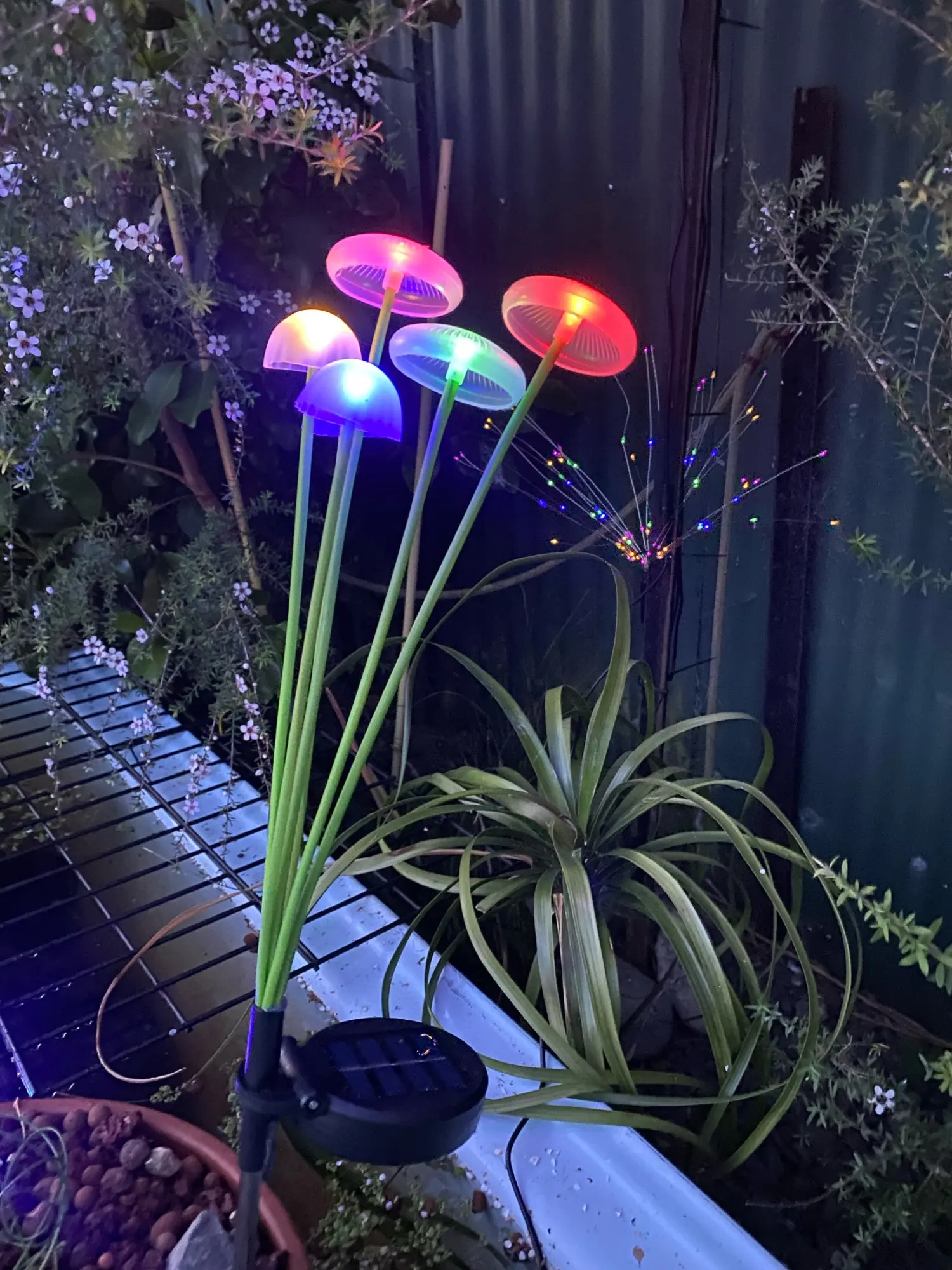 Customer review photo