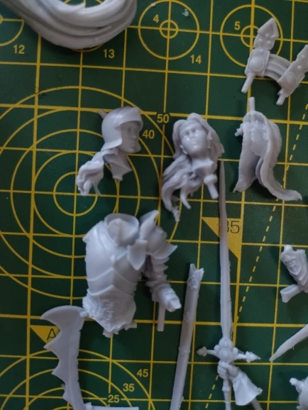Buyer photo of this resin kit