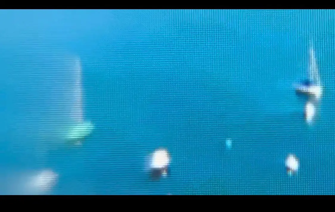 실물 포토 리뷰