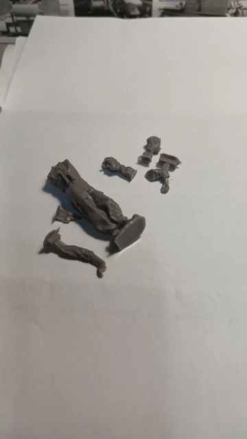 Buyer photo of this resin kit