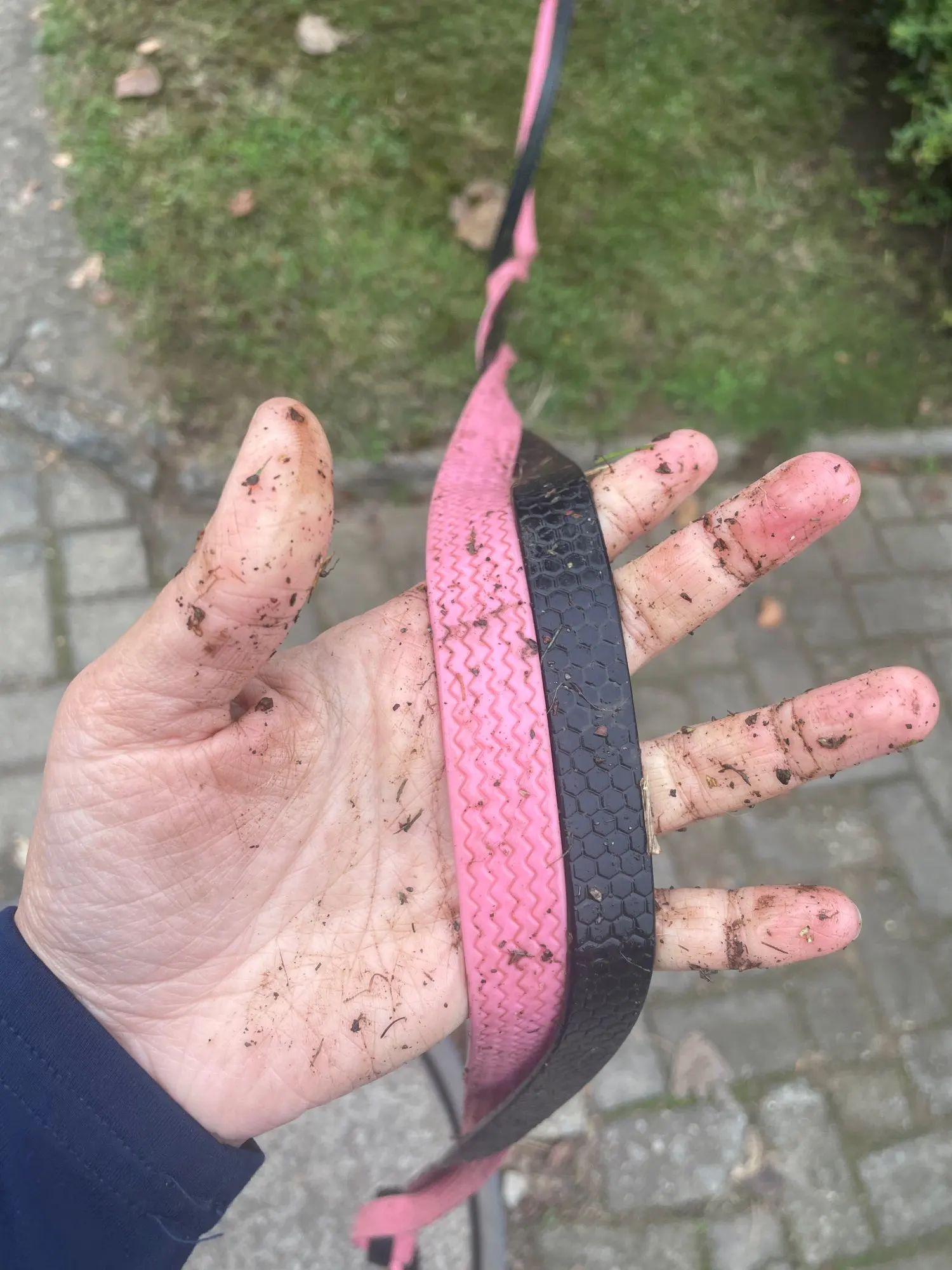 리뷰 사진