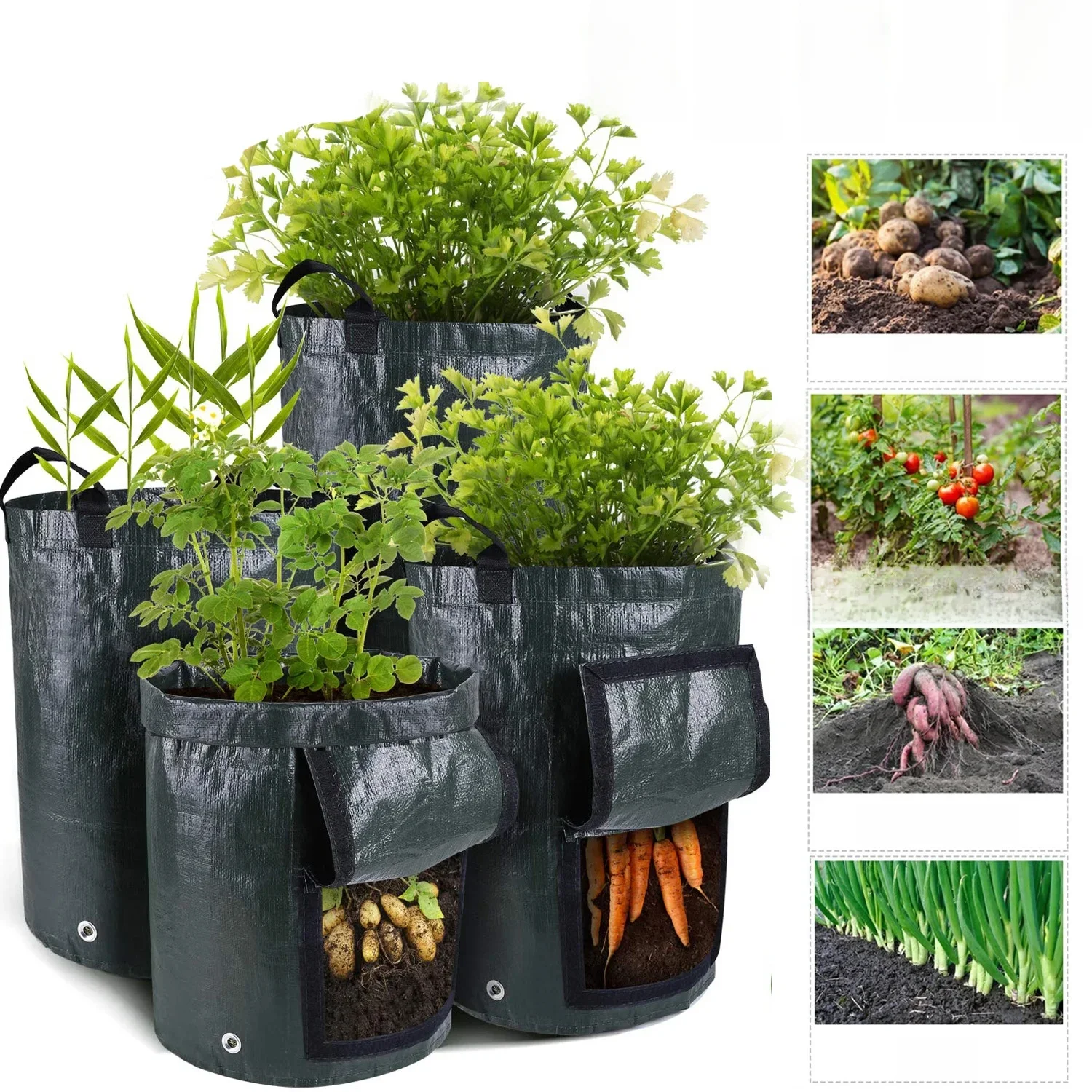 Tuin Kweektassen 3/5/7/10 Gallon Aardappelen Kweektassen Tuinieren Plant Groeit Zakken PE Stof Wortel groente Planter Container - afbeelding 2