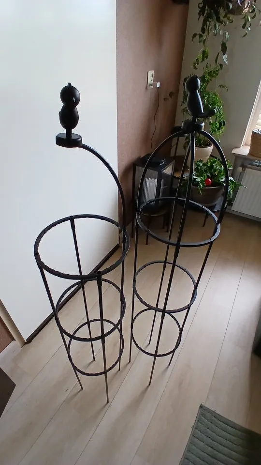 Review image 1
