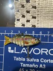 Imagen de reseña 1